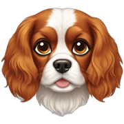 cavalier king charles sticker