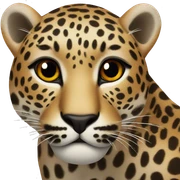 Leopard sticker