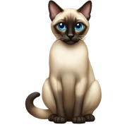 Siamese cat sticker