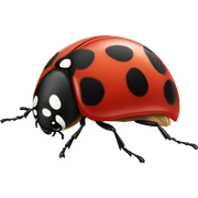 Ladybug  sticker