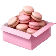 macaroons in baby pink box sticker