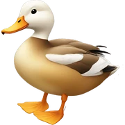 duck sticker