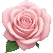Pastel pink Rose  sticker