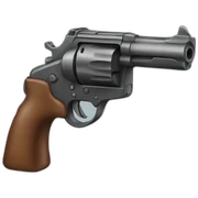 Gun sticker