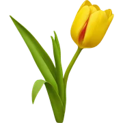 Tulipan amarillo con un corazon  sticker