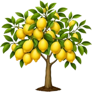 lemon tree sticker