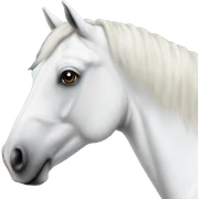 a-white-horse sticker