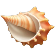 conch shell sticker