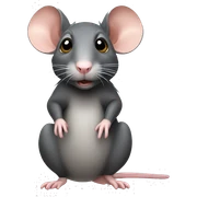 Rat sticker