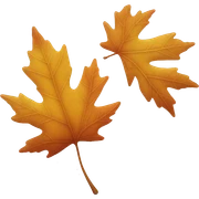 A beautiful autumn leaf falls from a tree sticker