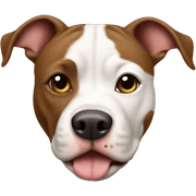 brown and white pit bull terrier sticker