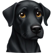 black dog sticker