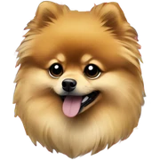 flag of pomeranian voievoidship sticker