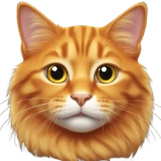 Cat orange sticker