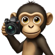 Monkey holding camera pointed towards camera sticker
