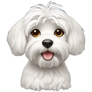 maltese sticker