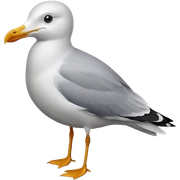 seagull sticker