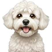 maltipoo sticker