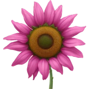 Pink sunflower sticker