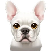 White French bulldog sticker