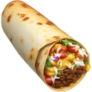 Rocket burrito ￼ sticker