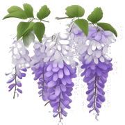 Bridgerton Inspired Emoji : Wisteria – Purple wisteria flowers from the Bridgerton family home, perfect for adding a touch of beauty. sticker