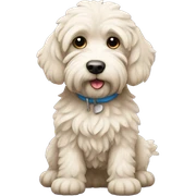 Miniature labrodoodle  sticker