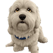 dog using computer realistically sticker