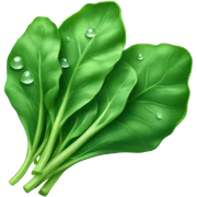 spinach sticker