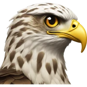 Hawk tuah sticker