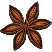 star anise  sticker