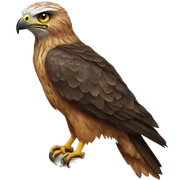 hawk tuah sticker