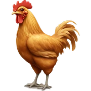 Chicken sticker