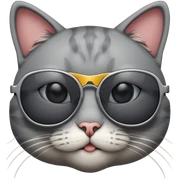 Cat with sunglasses sticker