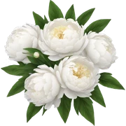 White peonies bouquet  sticker