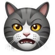 angry cat sticker