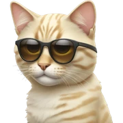Cat with sunglasses sticker