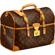 Louis Vuitton sticker