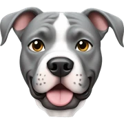 Gray pitbull sticker