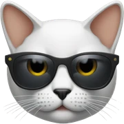 Cat with sunglasses sticker
