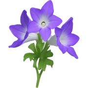 Campanula sticker