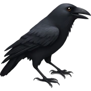 Crow sticker