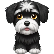 Black Maltese  sticker