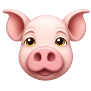 pig sticker