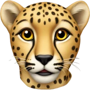Cheetah sticker
