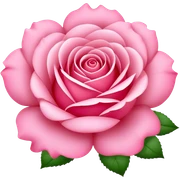 Rose pink sticker