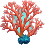 colourful coral sticker