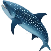 Whale shark sticker