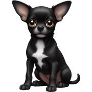 Black chihuahua puppy sticker