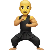 Kung fu sticker